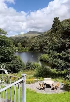 Image of a swan on a lake and green space